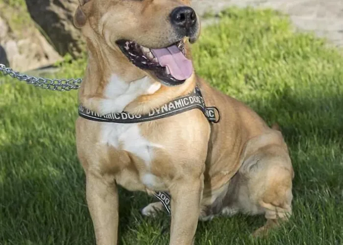 Lambroriver Nocleg ze śniadaniem Merone