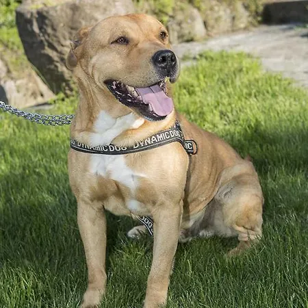 Alojamento de Acomodação e Pequeno-almoço Lambroriver Merone